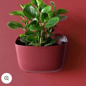 [LIKE 🆕] Wally Grow: Eco Brick Wall Planter
